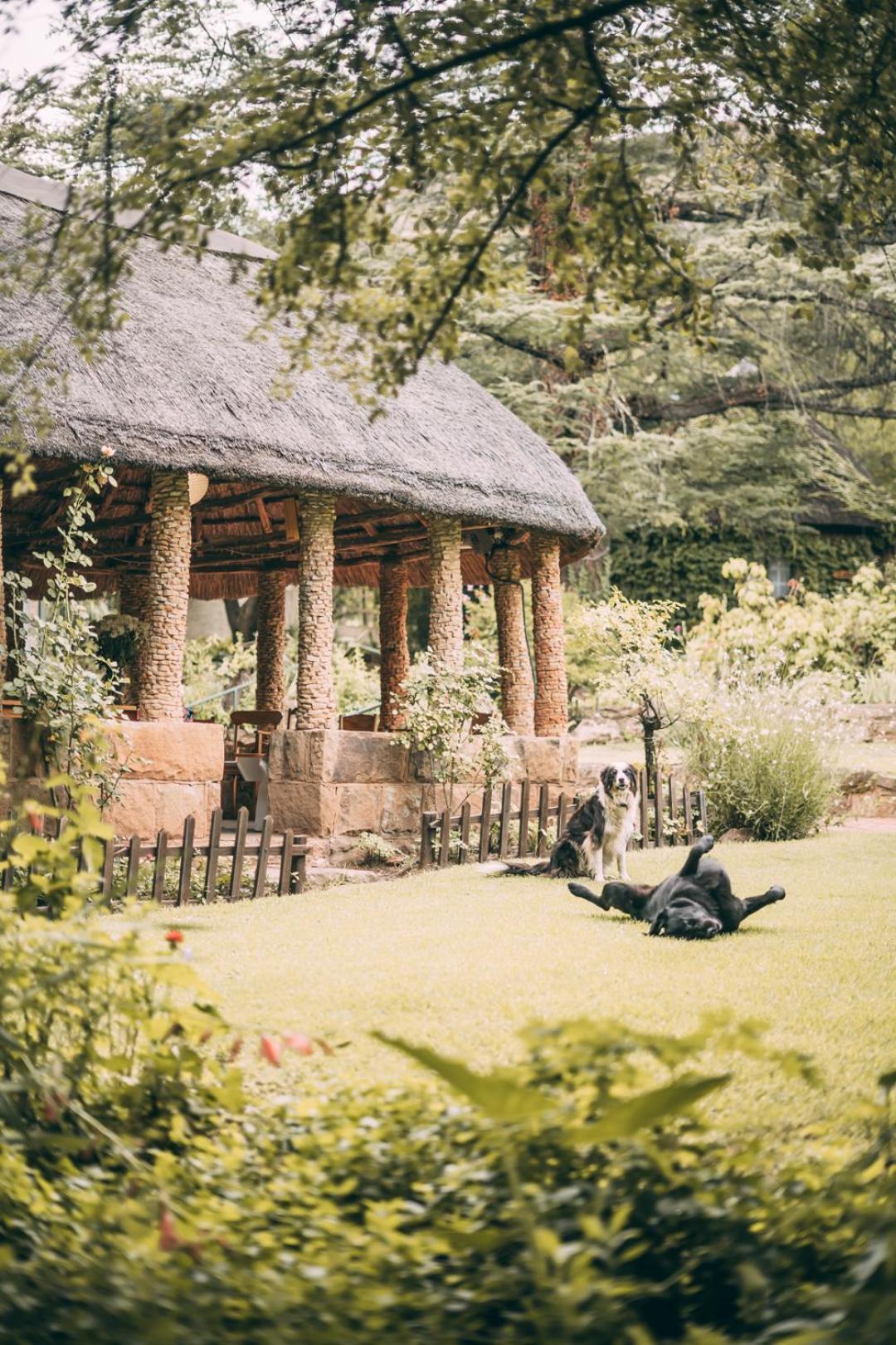 Wyndford Holiday Farm Fouriesburg Dış mekan fotoğraf